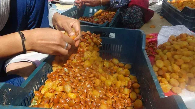 <p>Kayısı hasadı yapıldı Malatyalılar için patik sezonu başladı</p>