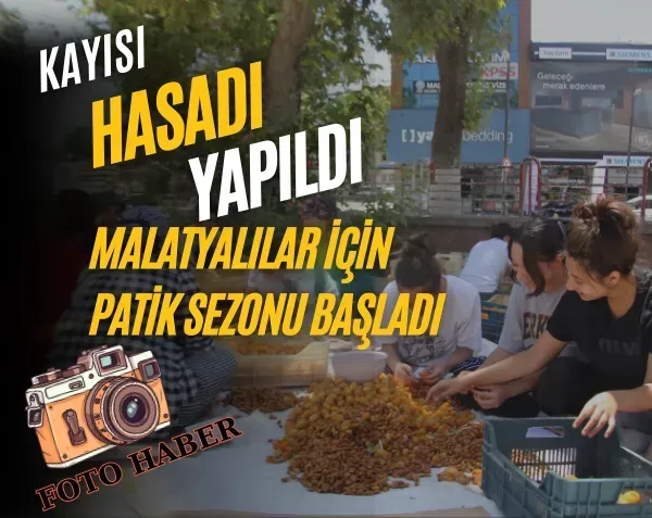 <p>Kayısı hasadı yapıldı Malatyalılar için patik sezonu başladı</p>