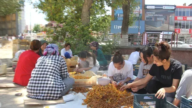 <p>Kayısı hasadı yapıldı Malatyalılar için patik sezonu başladı</p>