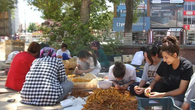 <p>Kayısı hasadı yapıldı Malatyalılar için patik sezonu başladı</p>