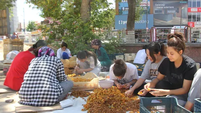 <p>Kayısı hasadı yapıldı Malatyalılar için patik sezonu başladı</p>