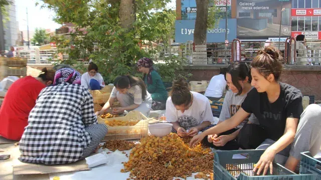 <p>Kayısı hasadı yapıldı Malatyalılar için patik sezonu başladı</p>