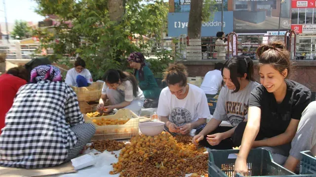 <p>Kayısı hasadı yapıldı Malatyalılar için patik sezonu başladı</p>