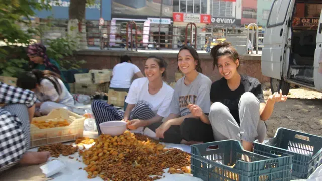 <p>Kayısı hasadı yapıldı Malatyalılar için patik sezonu başladı</p>