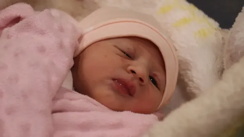 <p>Malatya’da yeni yılın ilk bebeği Malatya Eğitim ve Araştırma Hastanesi’ne bağlı Kadın Doğum ve Çocuk Hastanesi’nde dünyaya gelen Sıla ve Vedat Gökçe çiftinin kız çocuğu oldu. 2 kilo 950 gram ağırlığında dünyaya gelen bebeğe henüz isim verilmezken, ilk bebeğini kucağına almanın sevincini yaşayan anne Sıla Gökçe, bebeğin kendileri için bir hediye olduğunu söyledi.</p>