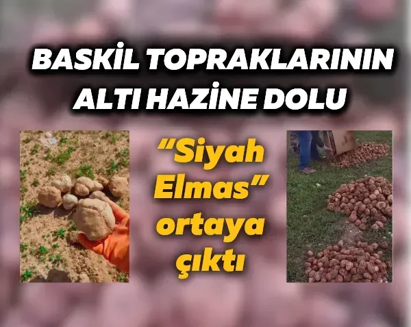Baskil topraklarının altı hazine dolu: “Siyah Elmas” ortaya çıktı
