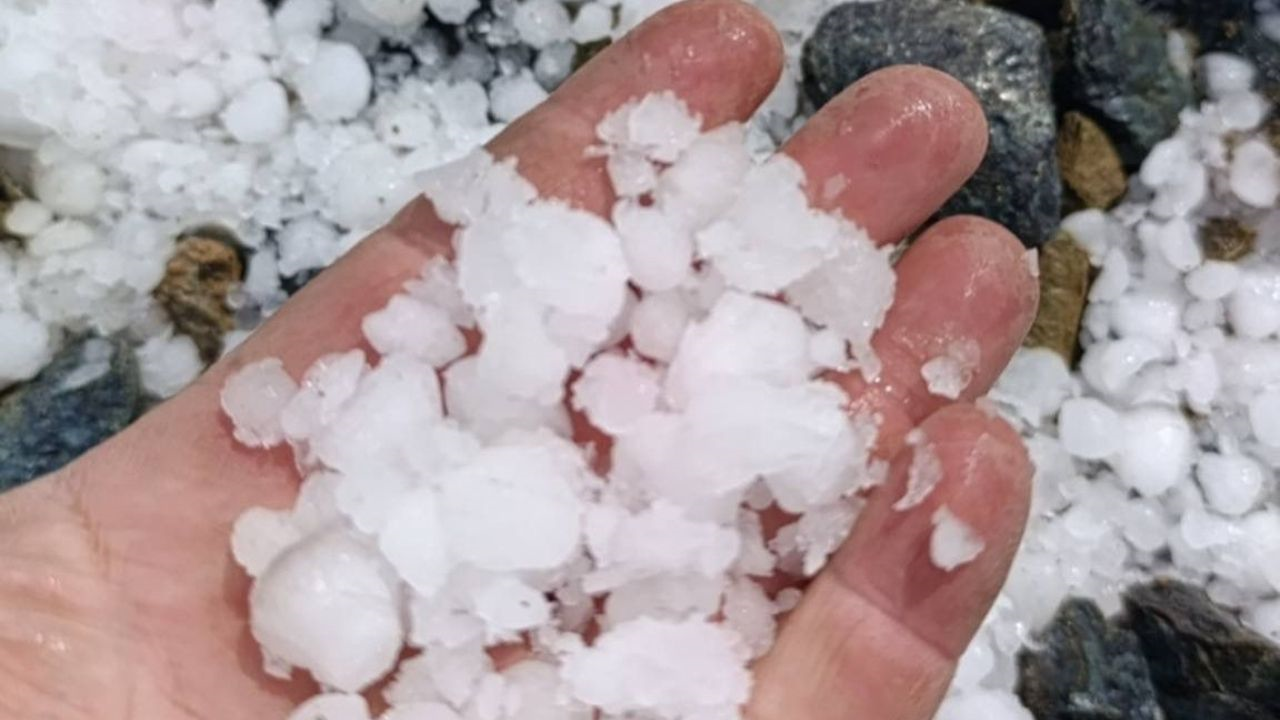 Dondan Kurtuldu Doluya Yakalandı! Kayısıda Yüzde 40 Hasar (4) Malatyahaber