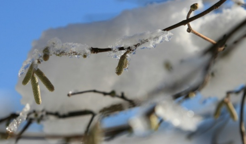 İçişleri Bakanlığı Riskli Haritayı Paylaştı! Malatya Var Mı (1) Malatyahaber