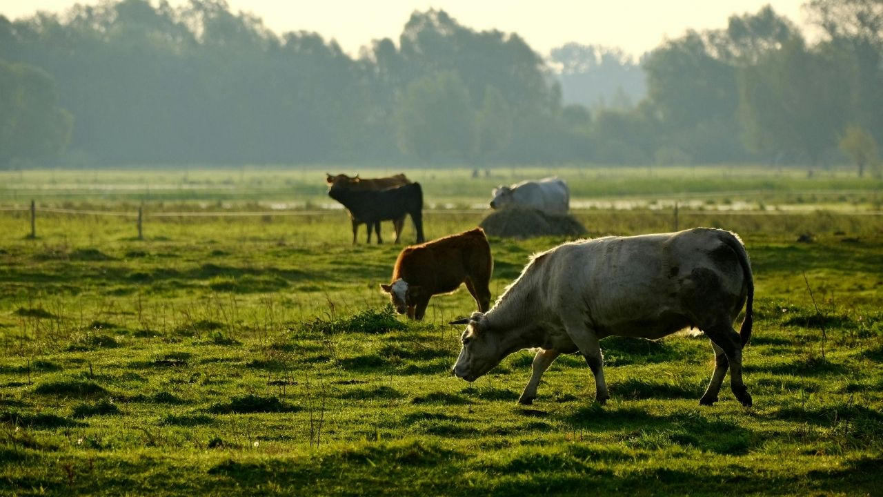İnönü Planladı, Gazi Yönetti! İşte Malatya’nın 28 Yıldır Içinde Olduğu Proje (5) Malatyahaber