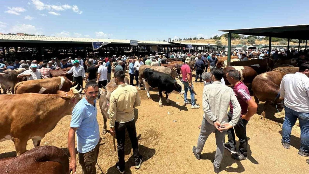 Kurbanlık Satışında Sıkı Denetim! O Hayvanların Satışı Malatya’da Da Yasaklandı (4) Malatyahaber