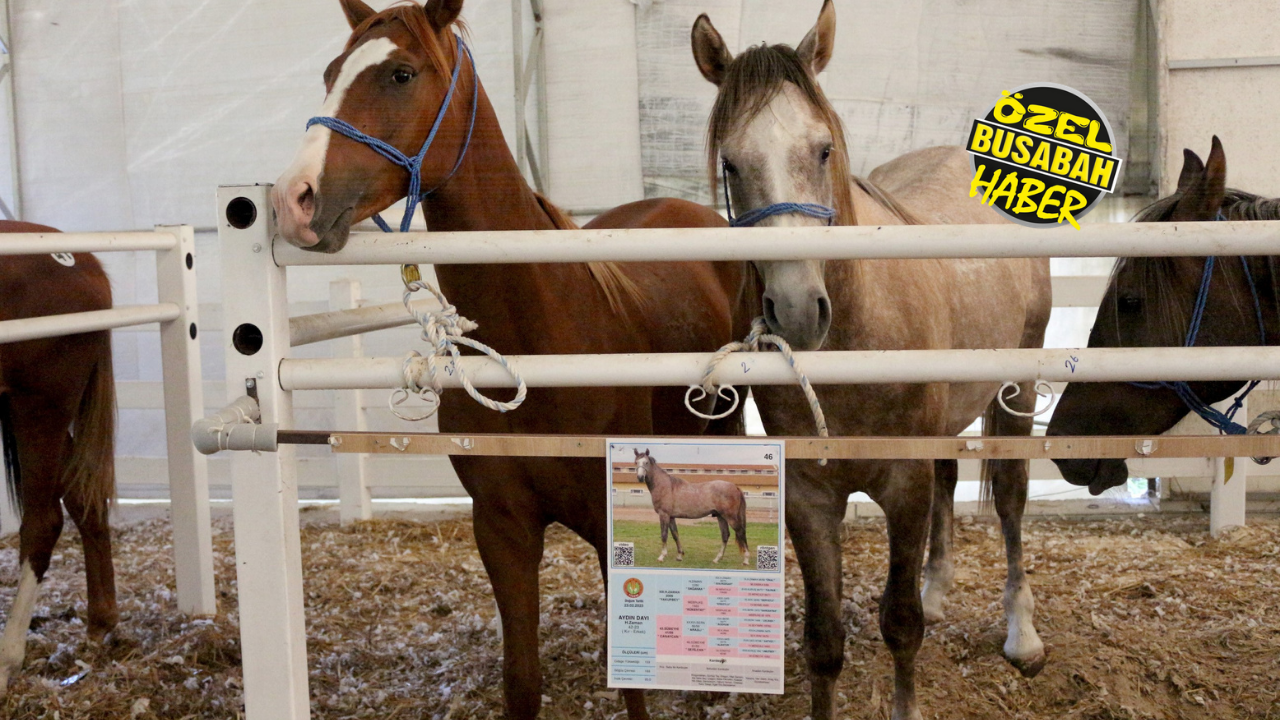 Malatya'da Kimse Bilmiyor! Hafta Sonu Planı Yapmadan Okuyun (4)