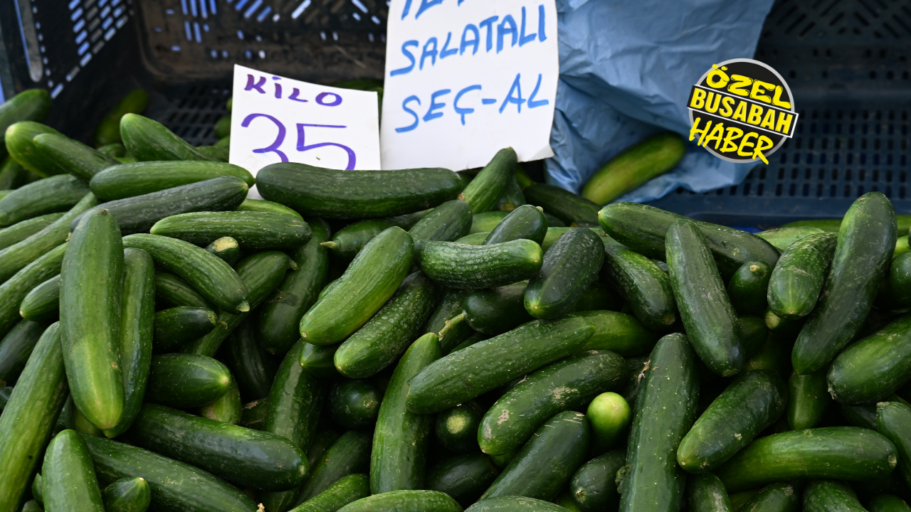 Malatya'da Semt Pazarının Zam Şampiyonu Biber Oldu! (11)