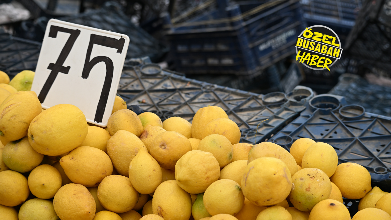 Malatya'da Semt Pazarının Zam Şampiyonu Biber Oldu! (18)