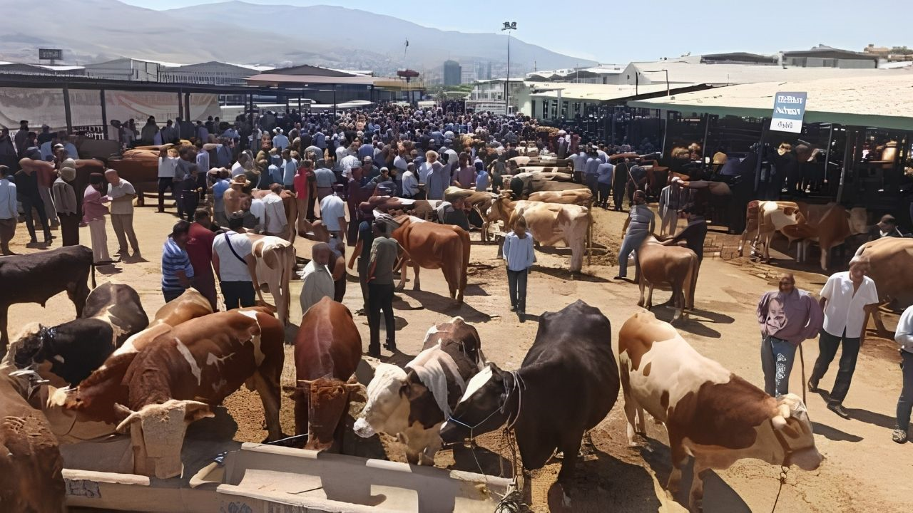 Malatyalı Besicilere Kurban Uyarısı Pasaportunuzda Silinti Varsa Yandınız! (2) Malatyahaber