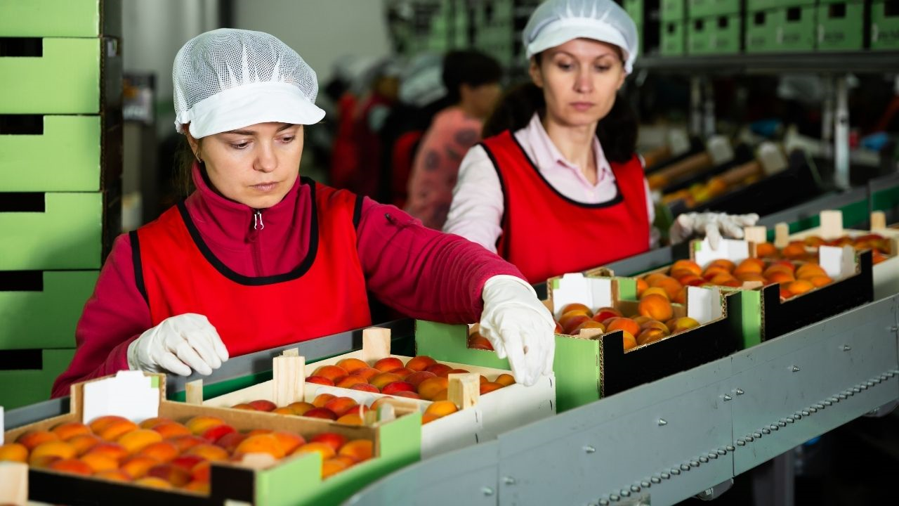 Orta Asya, Malatya’ya Rakip Olabilir Mi Vali Yavuz Son Noktayı Koydu (2) Malatyahaber