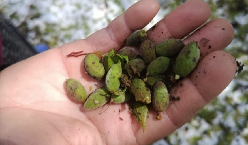 Yıldız: Tüm imkanlar seferber edilmelidir