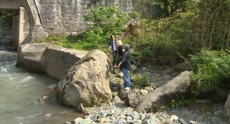 Cengiz Kurtoğlu Artvin Hasat 2