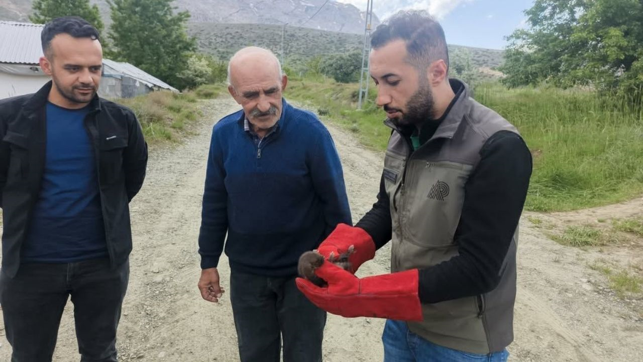 Doğanşehir'de Öksüz Kalan Yavru Sansara Devlet Şefkati (2) Malatyahaber