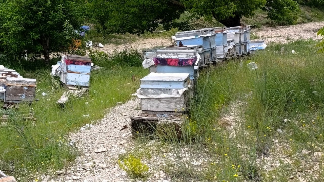 Hekimhan’da Gece Yarısı Baskını! Kovanları Dağıtan Davetsiz Misafir Kamerada (3) Malatyahaber
