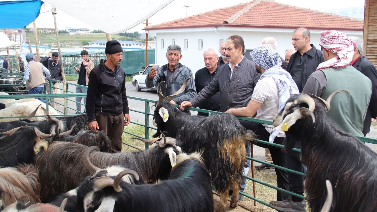 Malatya Canlı Hayvan Pazarı’nda Tekelleşme Iddiası! (1) Malatyahaber