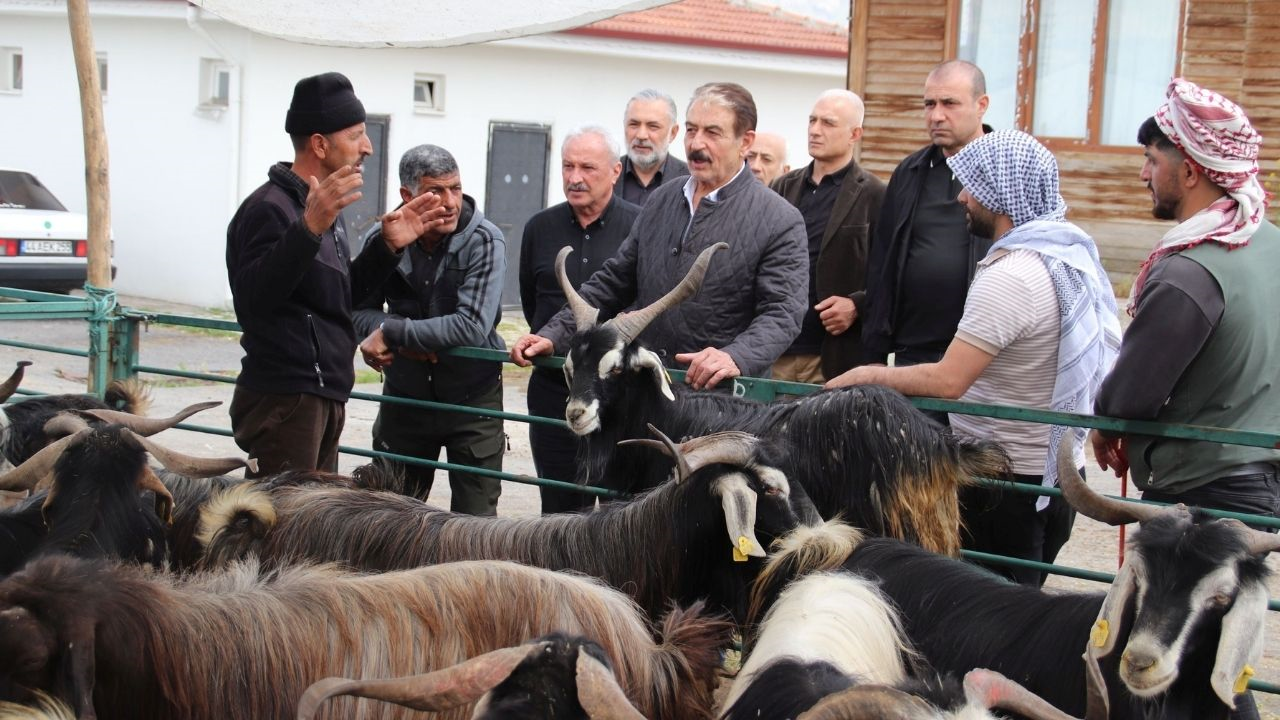 Malatya Canlı Hayvan Pazarı’nda Tekelleşme Iddiası! (3) Malatyahaber