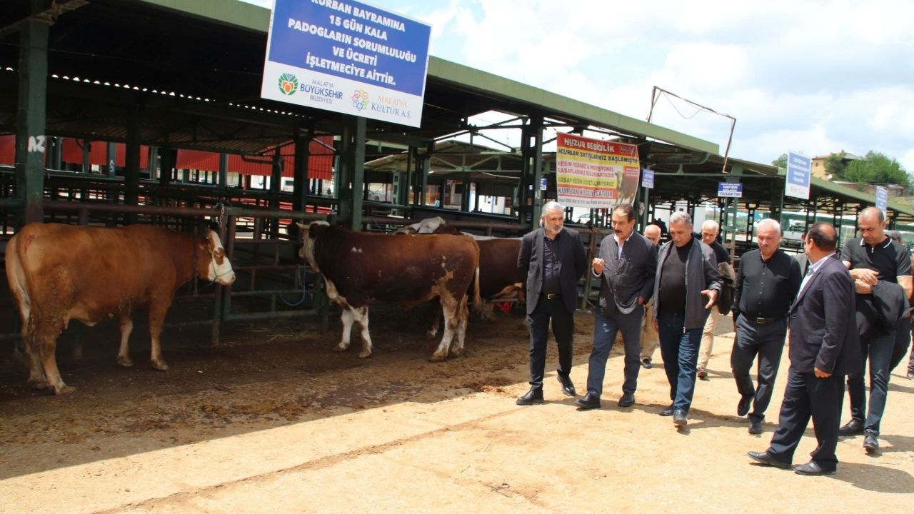 Malatya Canlı Hayvan Pazarı’nda Tekelleşme Iddiası! (4) Malatyahaber