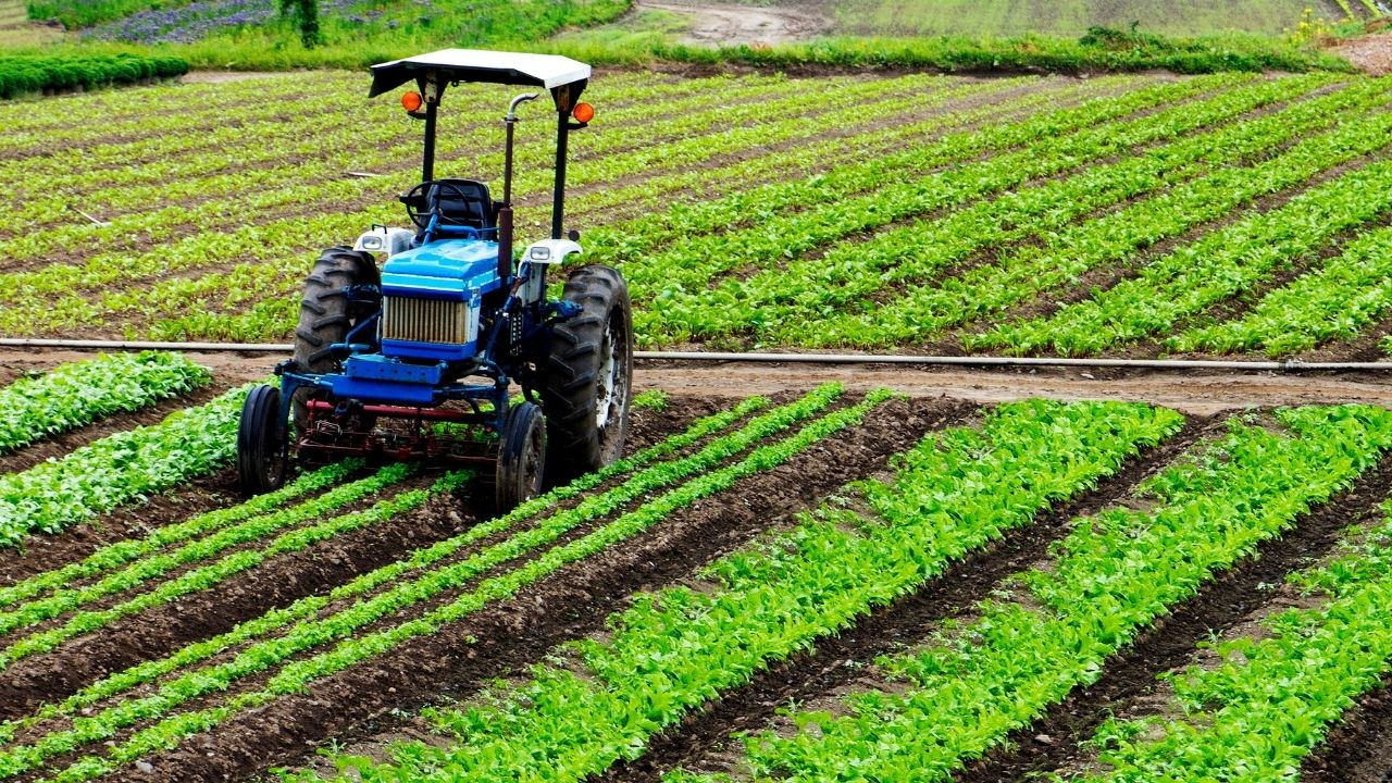 Malatya'nın Kayıp Milyonları Toprakta Yatan Devasa Potansiyel (3) Malatyahaber