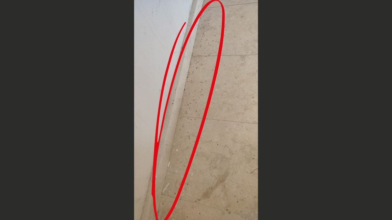 Bahçebaşı Toki̇’lerde Sinek Ve Böcek Istilası! Binlerce Ailenin Yeni Yuvası Kabusa Döndü (2) Malatyahaber
