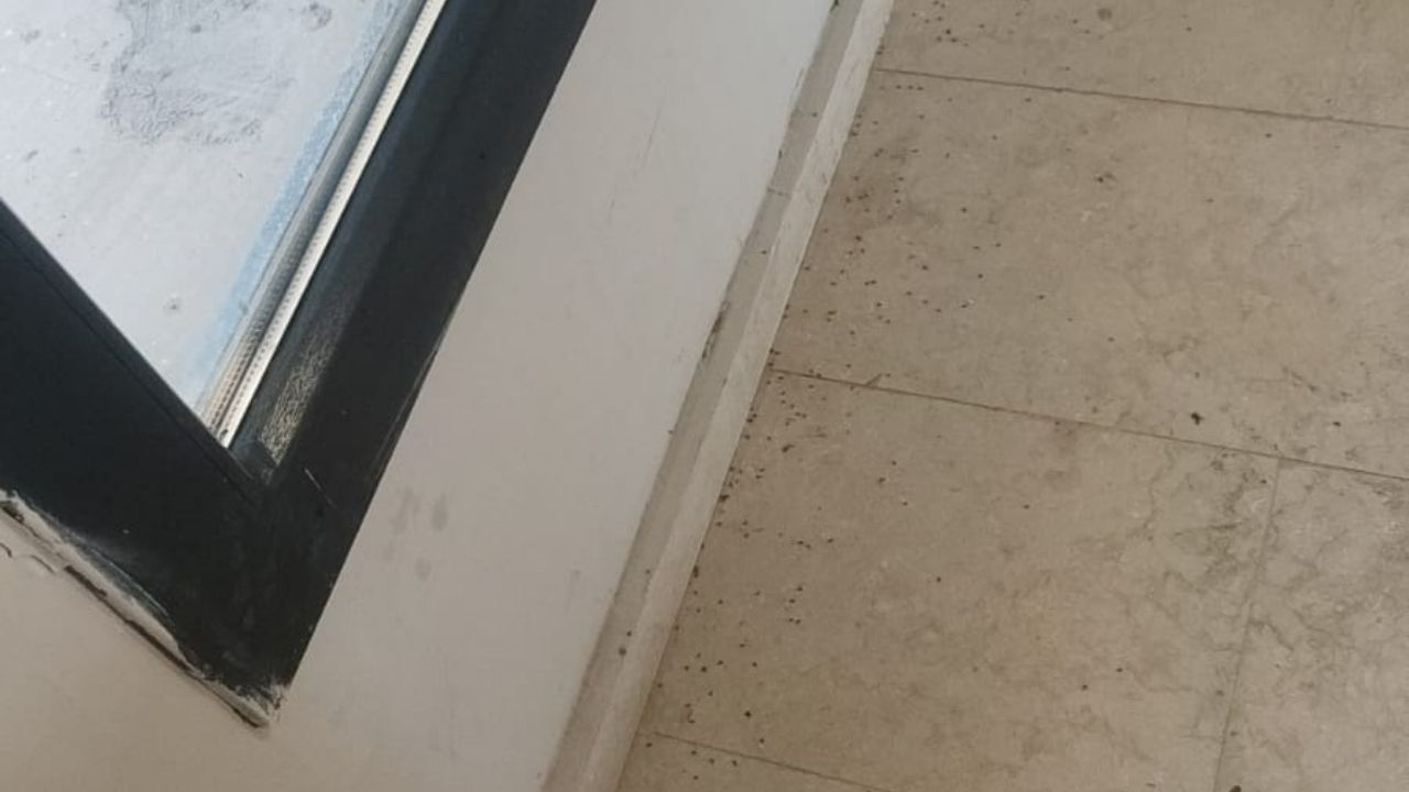 Bahçebaşı Toki̇’lerde Sinek Ve Böcek Istilası! Binlerce Ailenin Yeni Yuvası Kabusa Döndü (3) Malatyahaber