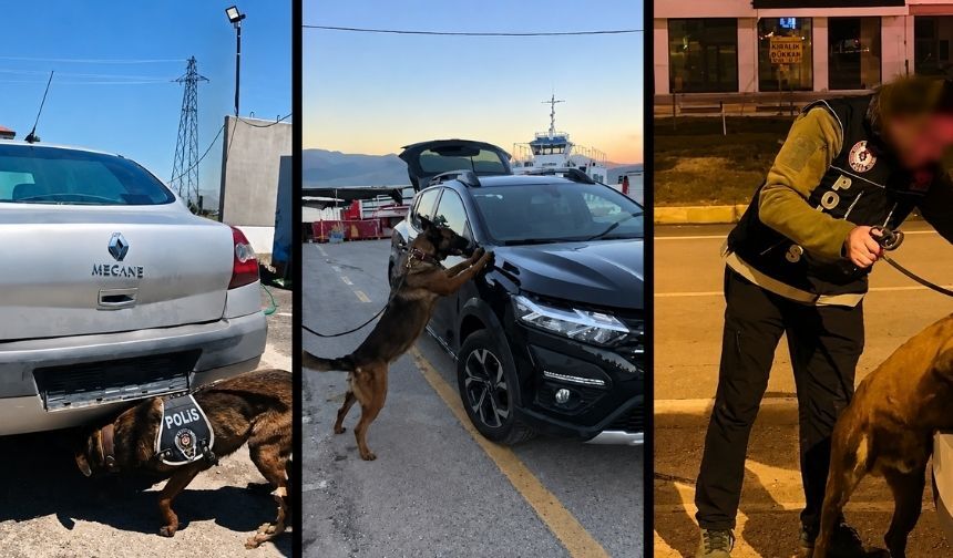 Bakanlık Düğmeye Bastı, Aralarında Malatya Da Var (4)