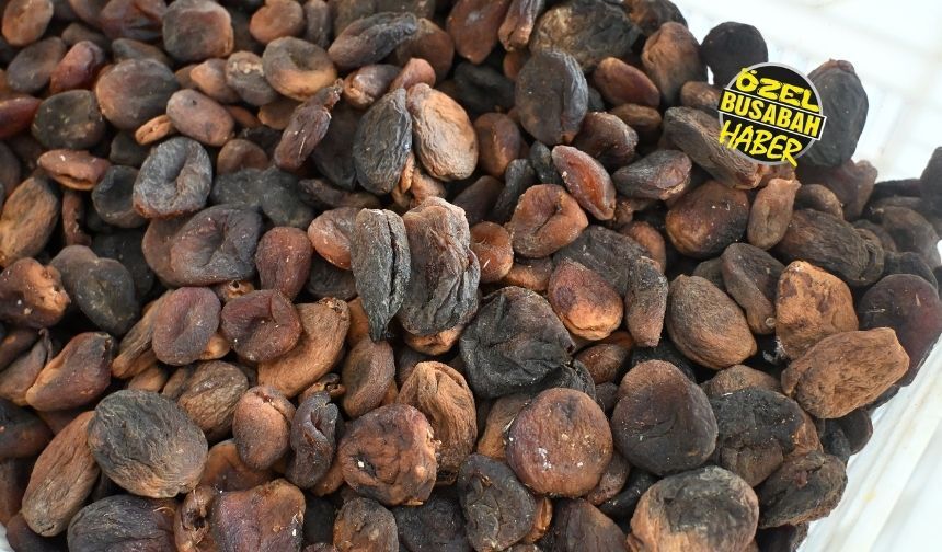 Bu Sezon Malatya Kayısısında Dengeler Tamamen Değişecek! Bu Yıl Fiyatlar Ne Kadar Olacak (5)