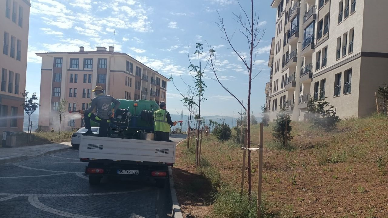 Büyükşehir’den Busabah’a Cevap Bahçebaşı Toki̇’lerde Sinek Istilası Ilaçlamaya Rağmen Bitmiyor Mu (1) Malatyahaber