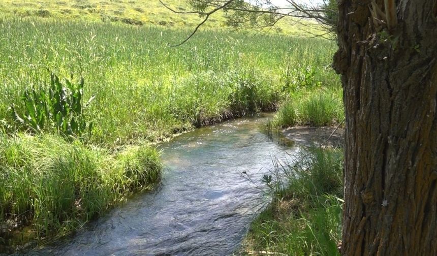 Dünya Kayısı Merkezinde Su Çığlığı Battalgazi Üreticisi Ankara'ya Seslendi! (2)-1