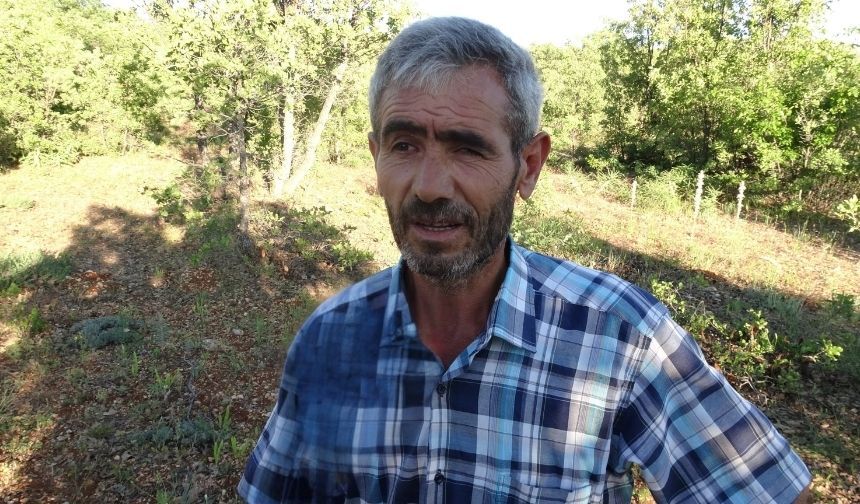 Dünyanın En Korkusuz Hayvanı Malatya’da Ortaya Çıktı! O Vatandaş Kendini Nasıl Savundu (4)