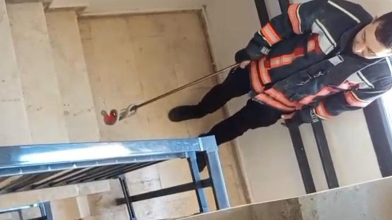 Malatya Yılan Kaynıyor! Bu Defa Da Toki̇ Binasından Çıktı (2) Malatyahaber