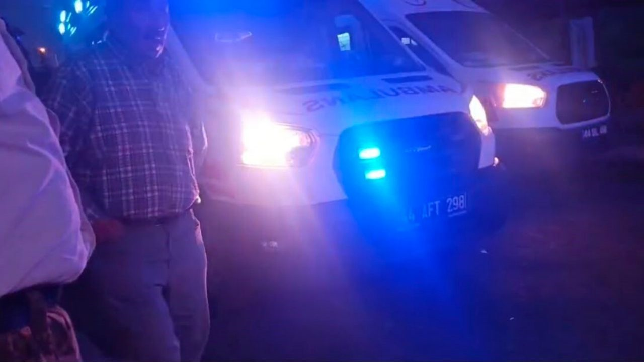 Malatya’da Bir Avuç Dut Için Akraba Kanı Aktı 1’I Çocuk 3 Yaralı (3) Malatyahaber