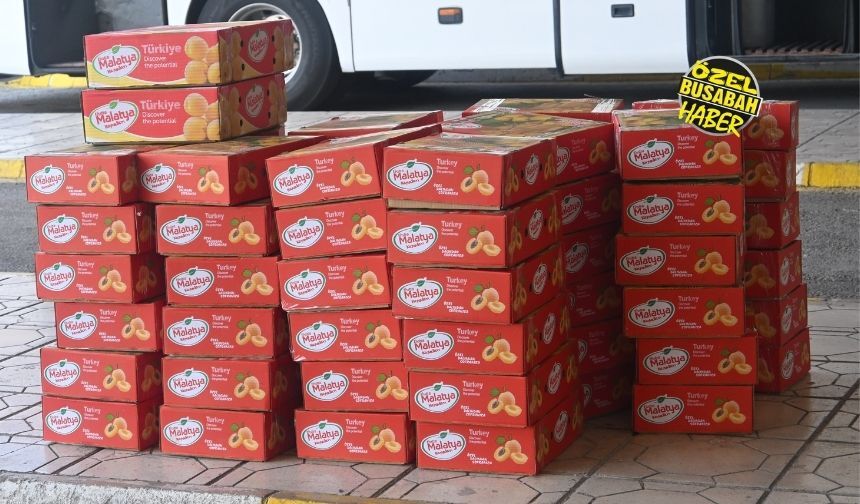 Malatya'da Sarı Altın Mesaisi Başladı Otobüs Bagajları Doldu Taştı! (3)-1