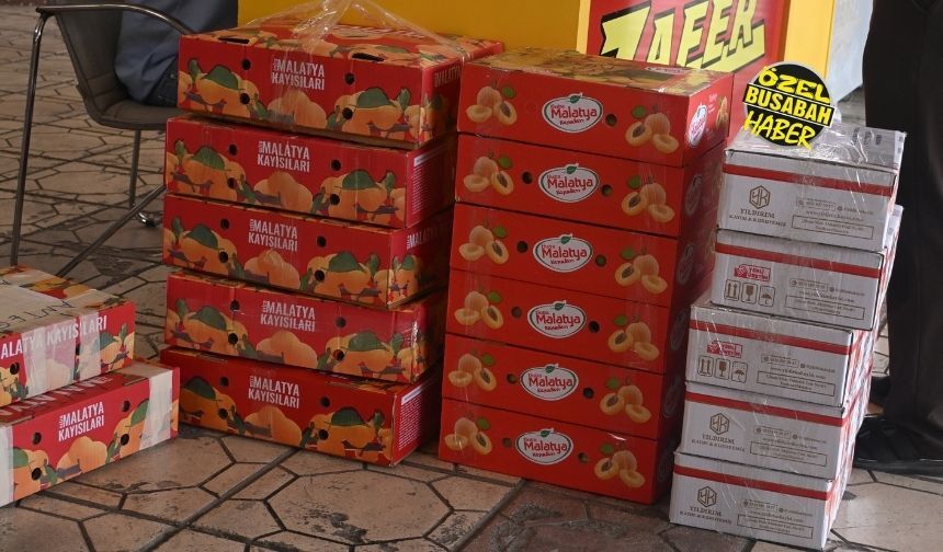 Malatya'da Sarı Altın Mesaisi Başladı Otobüs Bagajları Doldu Taştı! (4)