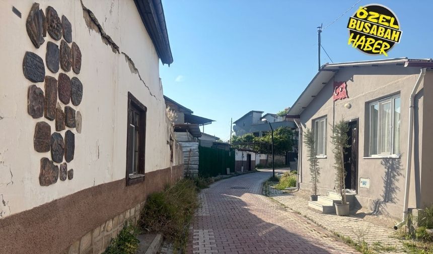Roma Surlarının Göbeğinde Sessiz Çöküş Malatya'nın Ödüllü Sanat Sokağı Dökülüyor! (18)