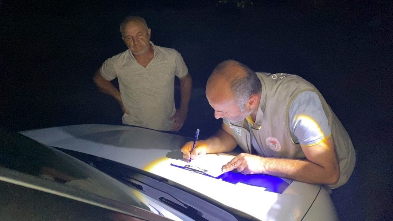 Sürüye Yıldırım Isabet Etti, Hayvanlar Telef Oldu (2) Malatyahaber