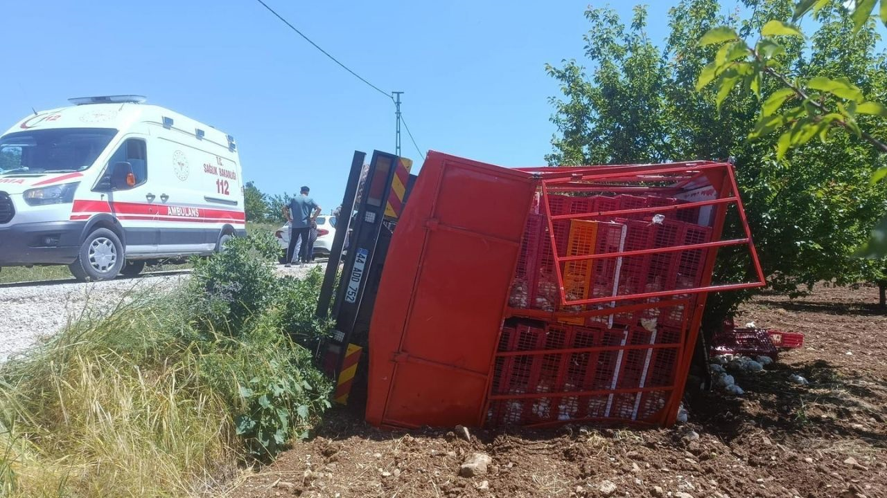 Yeşilyurt’ta Canlı Tavuk Yüklü Kamyon Devrildi Çok Sayıda Telef Var! (1) Malatyahaber