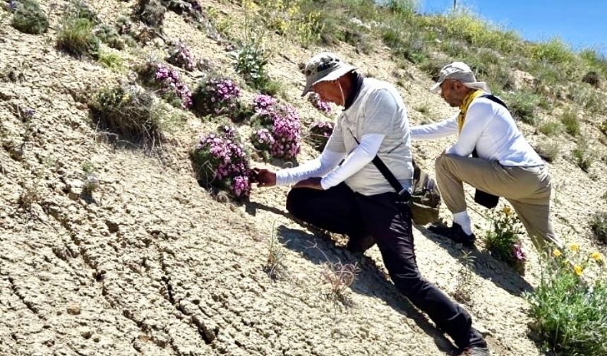 Yıllardır Dağların Arasında Saklıydı Malatya'nın O Ilçesinde Uzmanları Şaşırtan Keşif! (5)