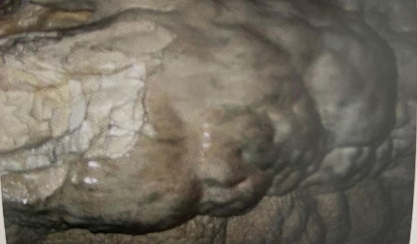 Darende’deki Gizemli Tapınak Hamamönü Mağarası Kaya Tapınağı Keşfedilmeyi Bekliyor (2)