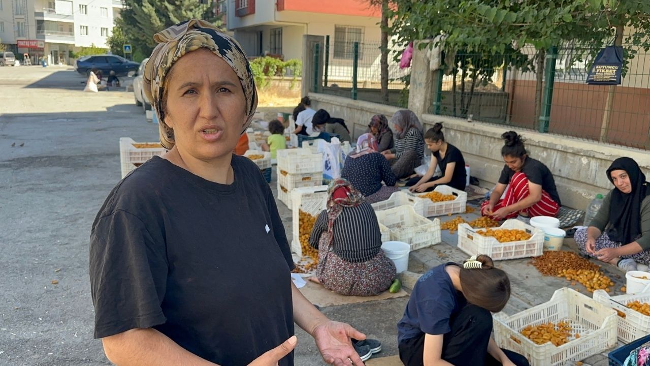 Geçen Yıl Zirai Don, Bu Yıl Ceza Korkusu! Malatya’da ‘Patik’ Yapmak Yasaklandı Mı (2)