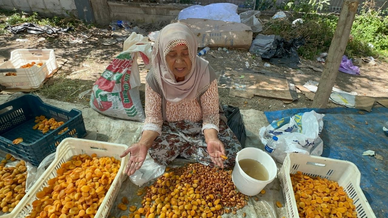 Geçen Yıl Zirai Don, Bu Yıl Ceza Korkusu! Malatya’da ‘Patik’ Yapmak Yasaklandı Mı (4)