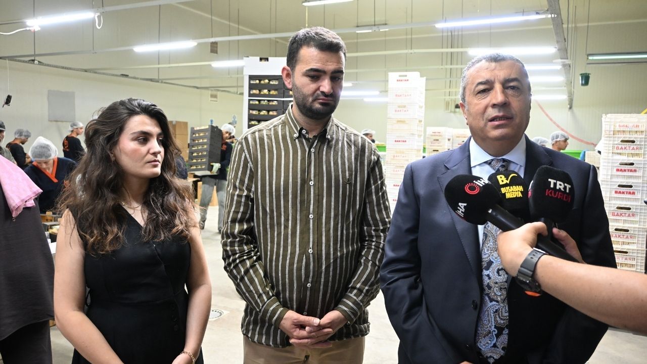 Malatya Kayısısı Dünya Sofralarında Yaş Kayısı Ihracatında Çarklar Abd Ve Uzak Doğu Için Dönüyor! (8)