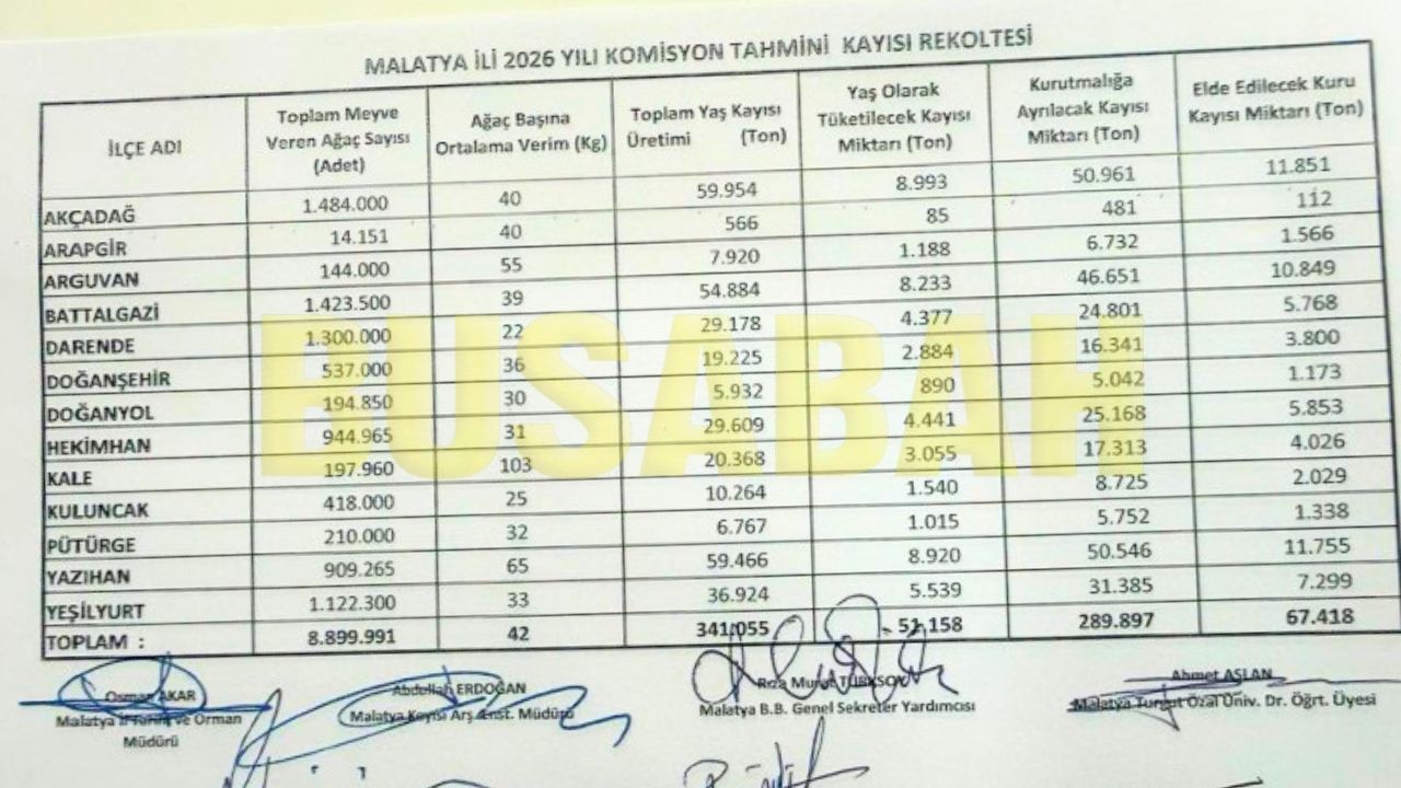 Malatya’da 2026 Yılı Kayısı Rekoltesi Ne Kadar Oldu Baskil Tek Başına Malatya’nın Ilçelerini Solladı (1)