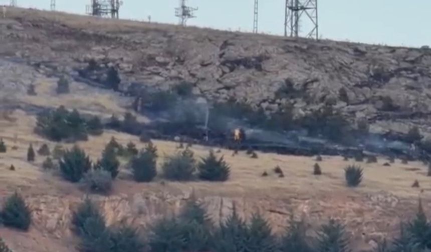 Malatya’da 50 Dekar Alan Ve Çok Sayıda Kayısı Ağacı Küle Döndü (1)