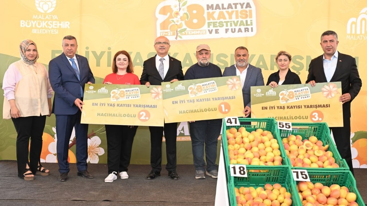 Malatya'da “En İyi Yaş Kayısı Yarışması” Sonuçlandı! İşte Kazananlar (3) Malatyahaber