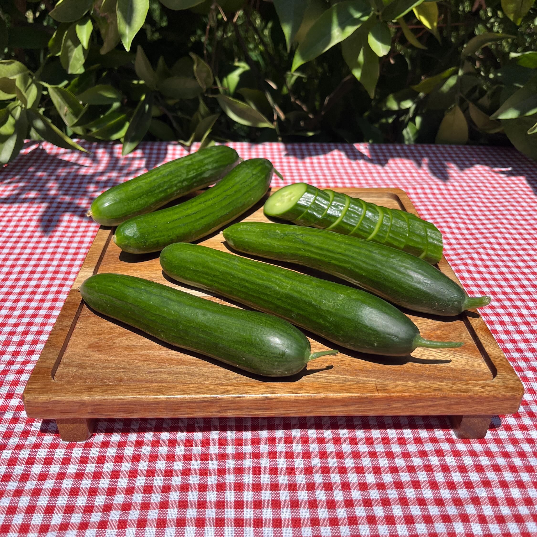 Organik Salatalik 500 Gr Anamur Bahces 2Ad71E